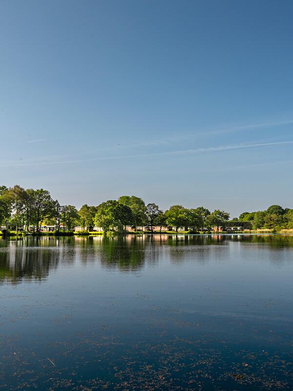 Regal Autograph for sale at Pearl Lake , Herefordshire -lake photo