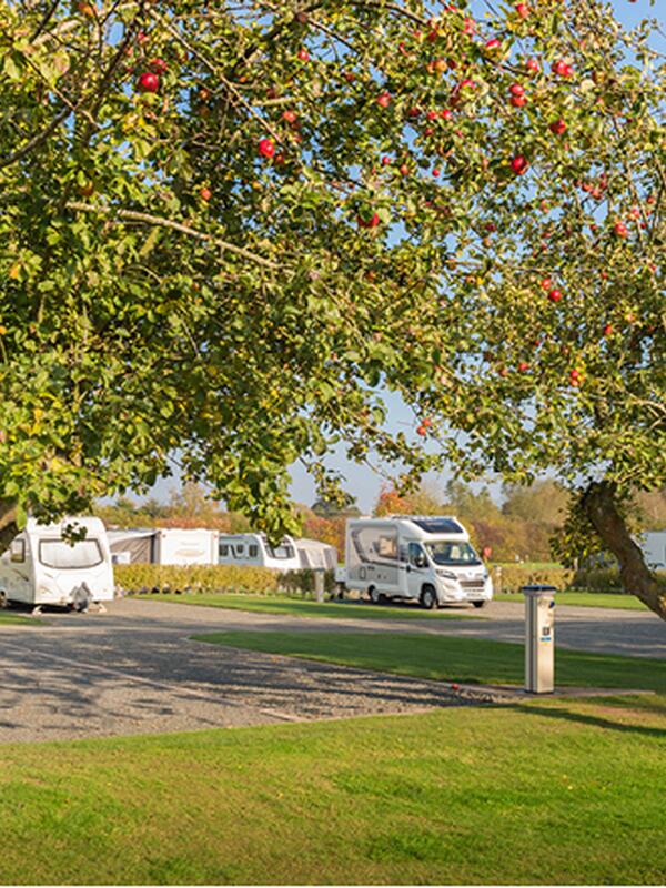 seasonal touring pitches 5 star caravan park Discover Parks