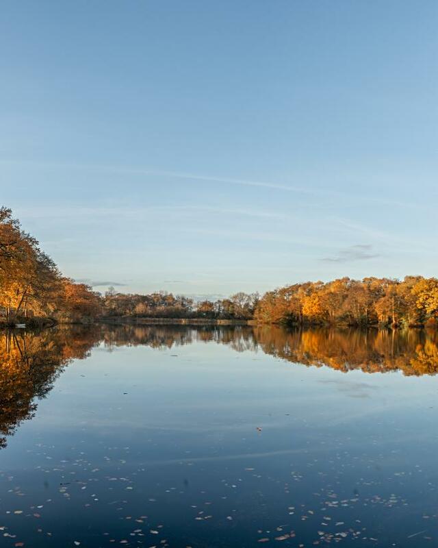 Spectacular autumn morning at Pearl Lake