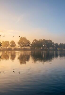 Misty Autumn sunrise over Pearl Lake