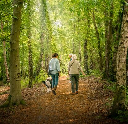 Woodland walks at Pearl Lake Country Holiday Park, Herefordshire