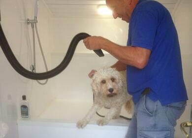 Dog wash at Rockbridge caravan park photo