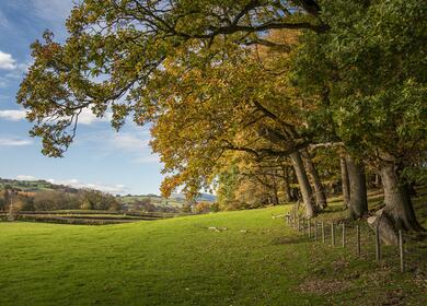 Finding the right holiday park to own a caravan - location photo