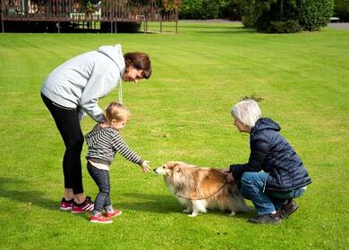Well behaved dogs are always welcome at Discover Parks