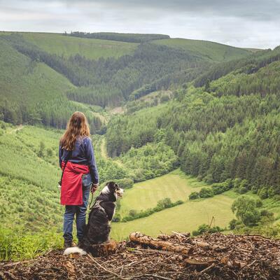 Radnorshire forest mid Wales