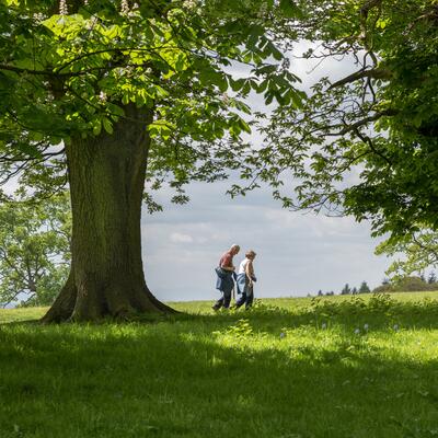 Relaxing countryside strolls