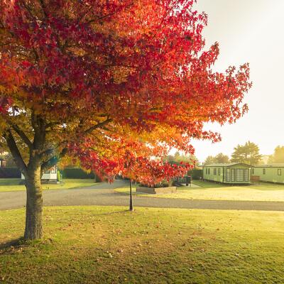 5 star holiday park at Arrow Bank herefordshire