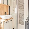 ABI St David for sale at Arrow Bank 5 star holiday park with fishing. Shower room photo