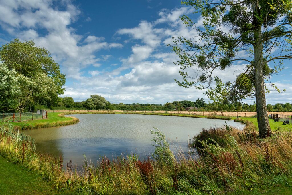 Discover Parks Arrow Bank Fishing Lake