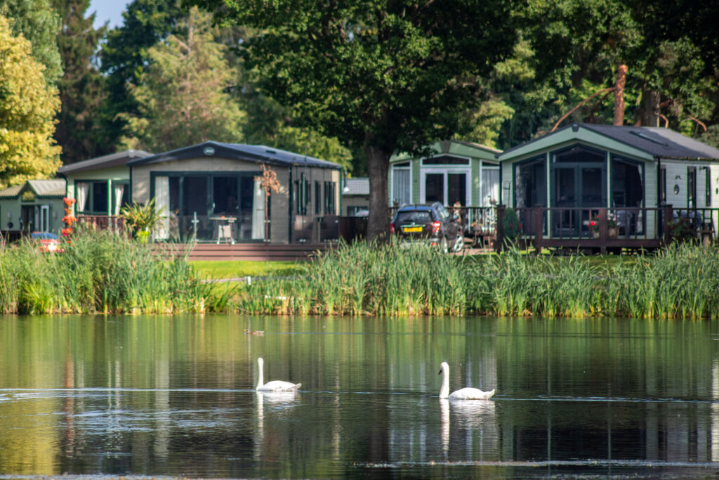 Discover Parks Pearl Lake Swans
