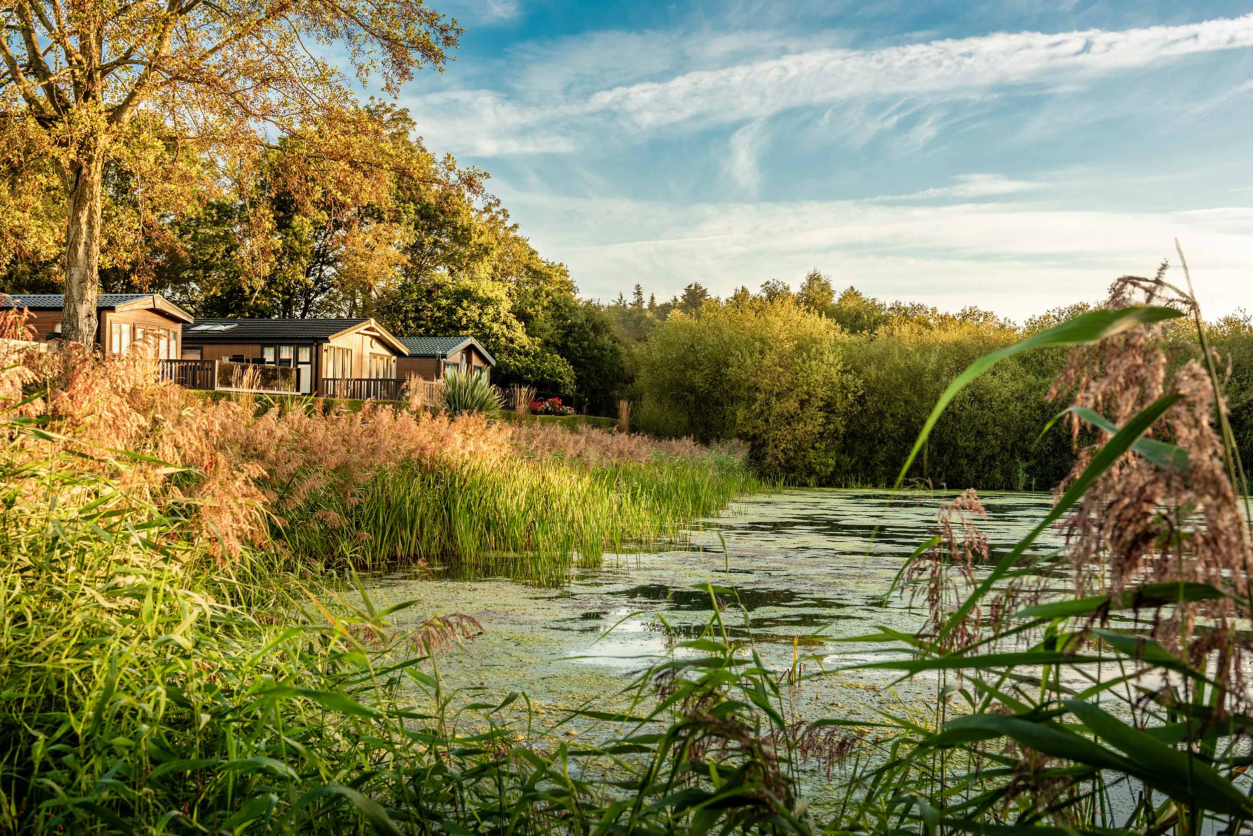 Discover Parks Pearl Lake