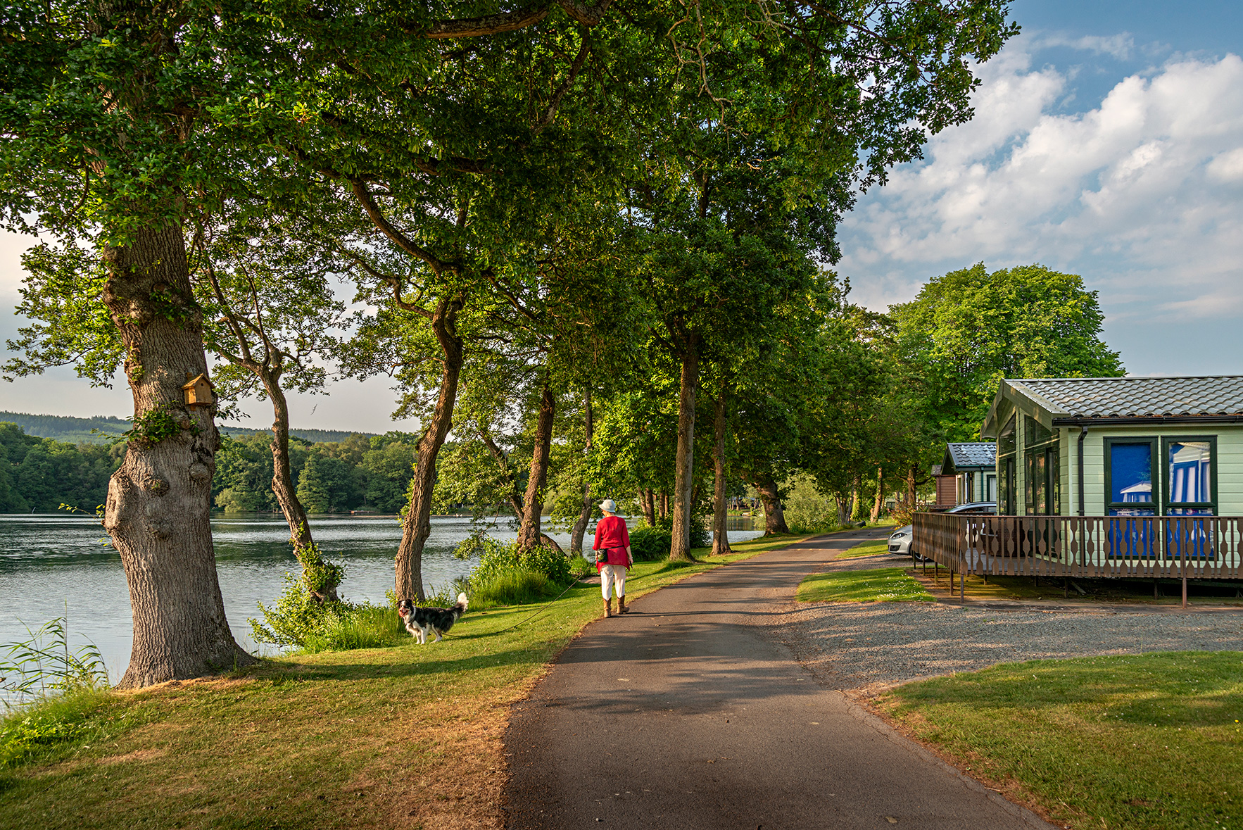 Dog friendly caravan park in Herefordshire at Pearl Lake