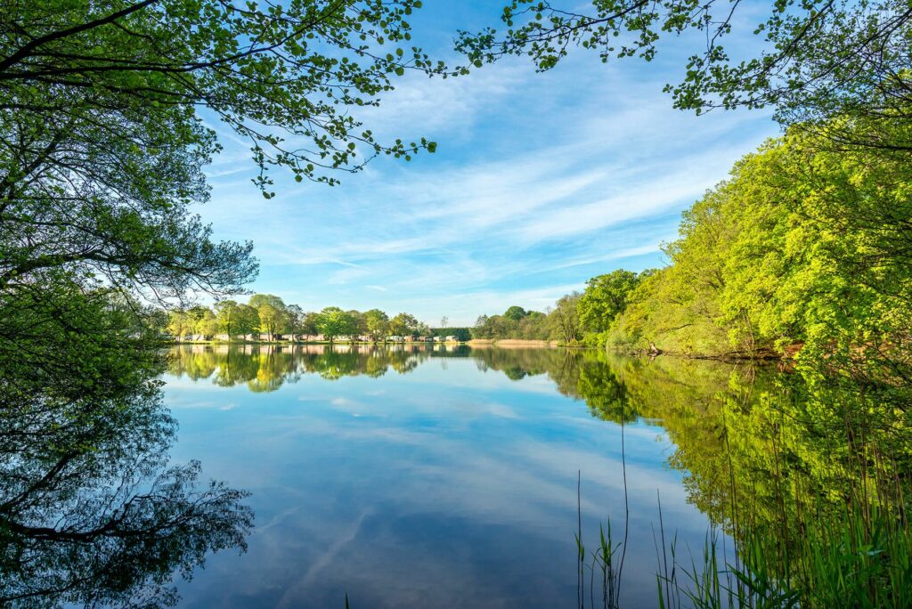 Sunny Morning over Lake - Discover Parks - Pearl Lake