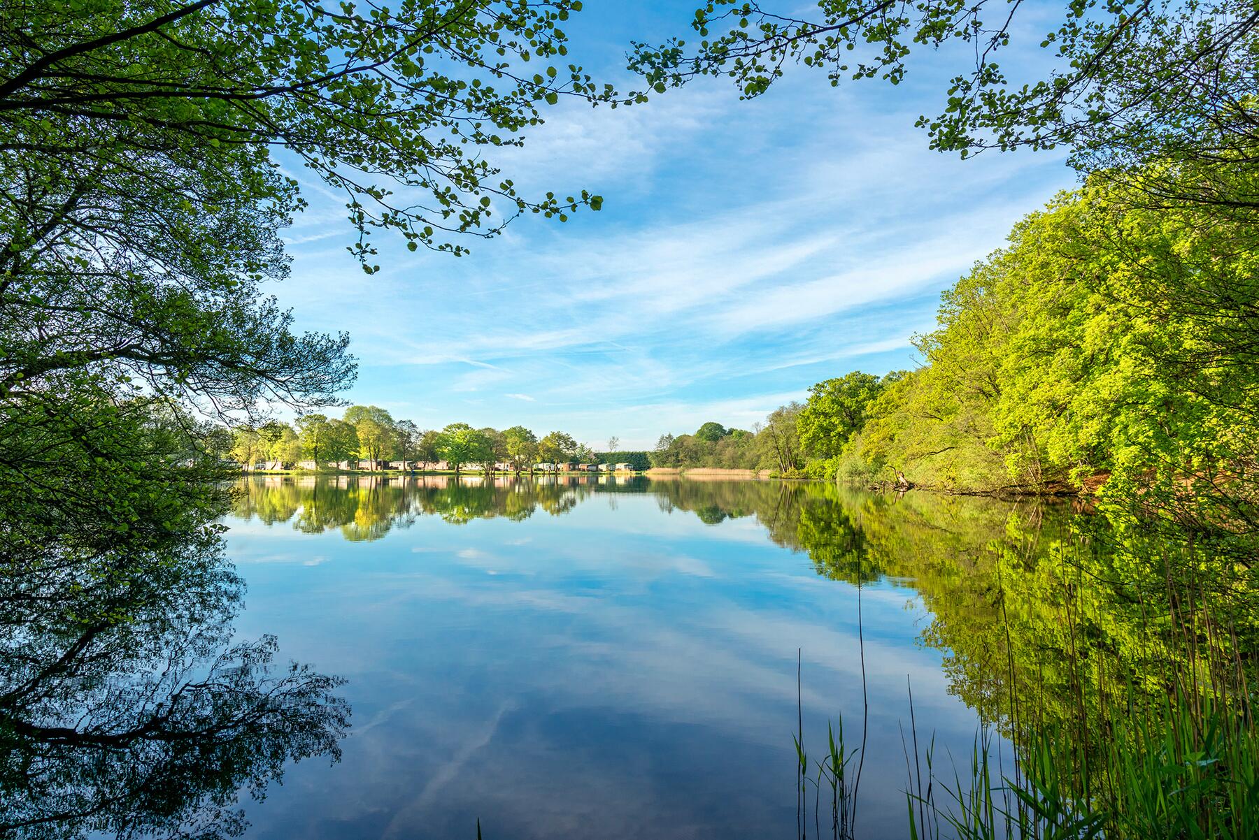 Sunny Morning over Lake - Discover Parks - Pearl Lake