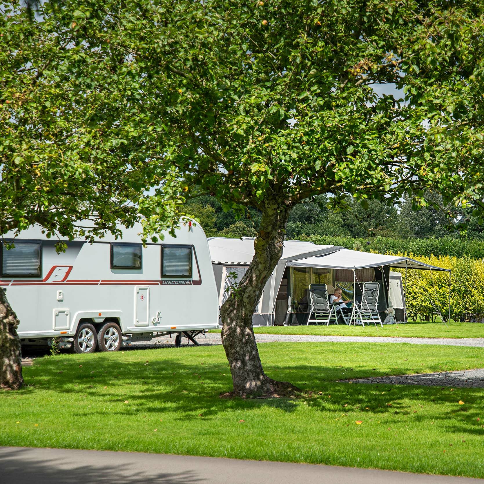Caravan-and-Lodges-Discover-Parks-aspect-ratio-1-1