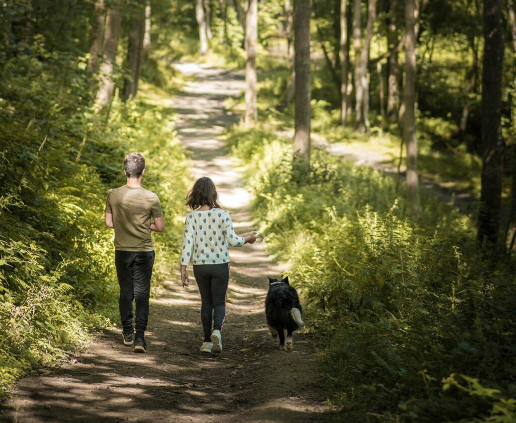 Discover Parks Dog Friendly Holidays