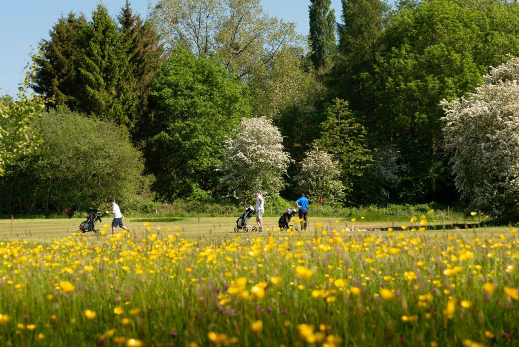 Discover Parks Golf