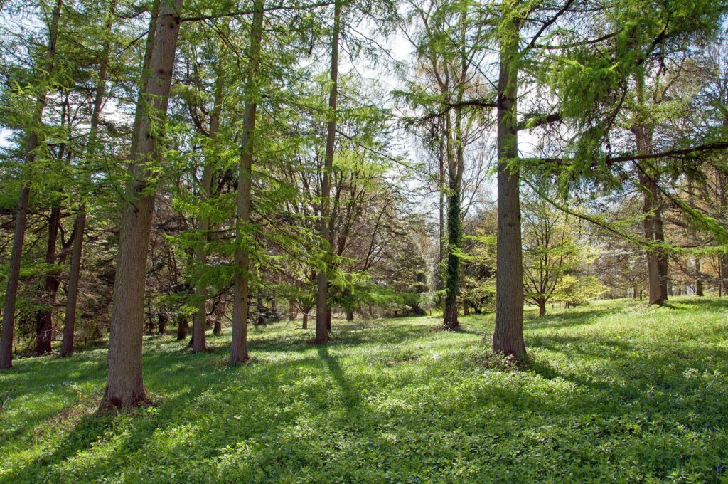 Discover Parks Mortimer Trail