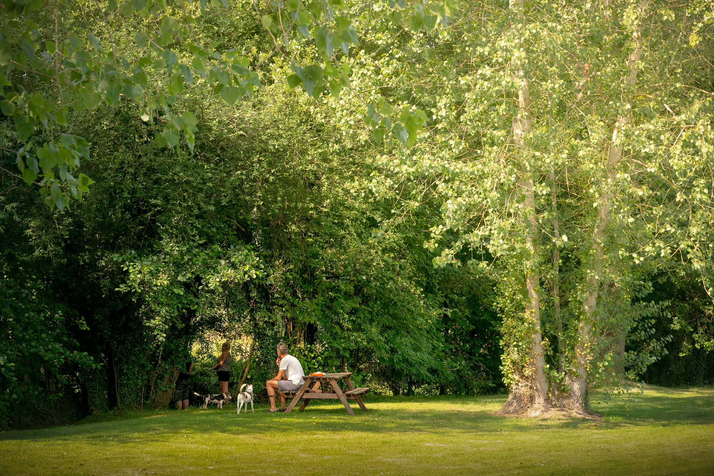 Kick back Discover Parks