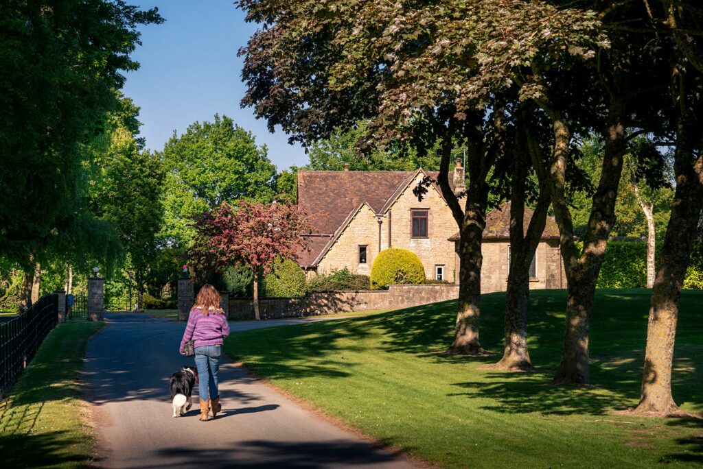 Luxury Cottages Discover Parks