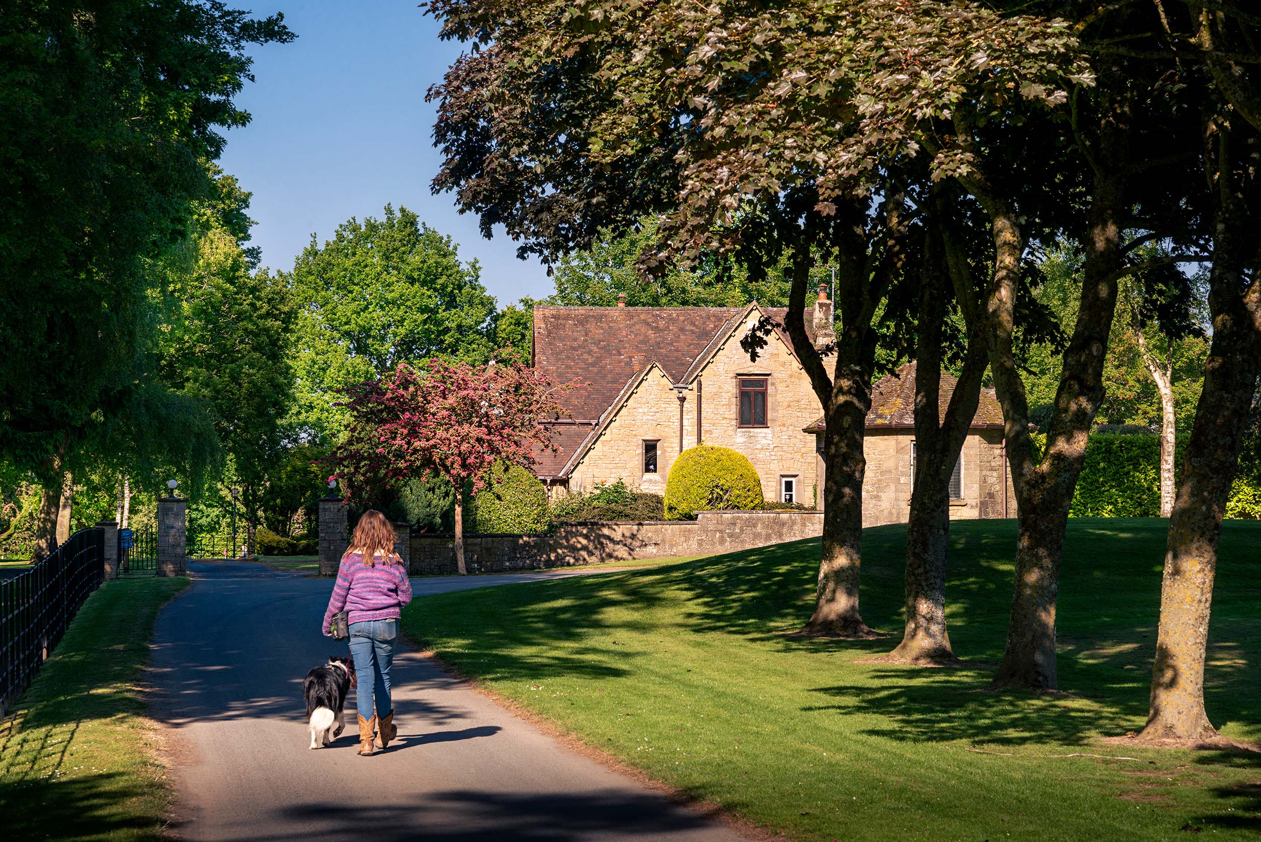Luxury Cottages Discover Parks