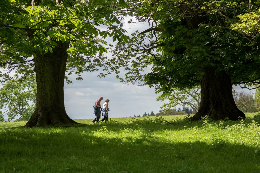 Offa's dyke path access Discover Parks