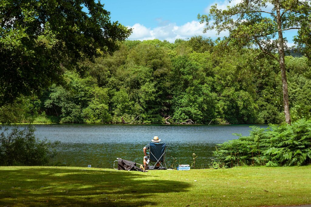 Prime Natural Location Discover Parks