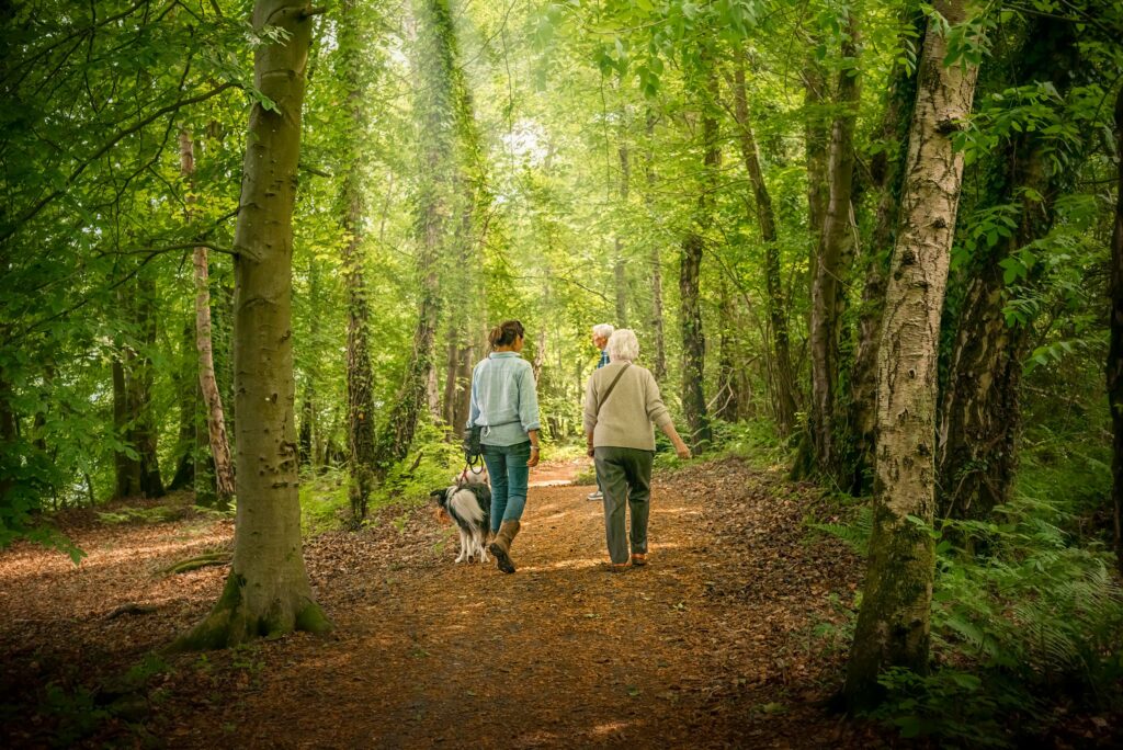 Wildlife Trails Discover Parks