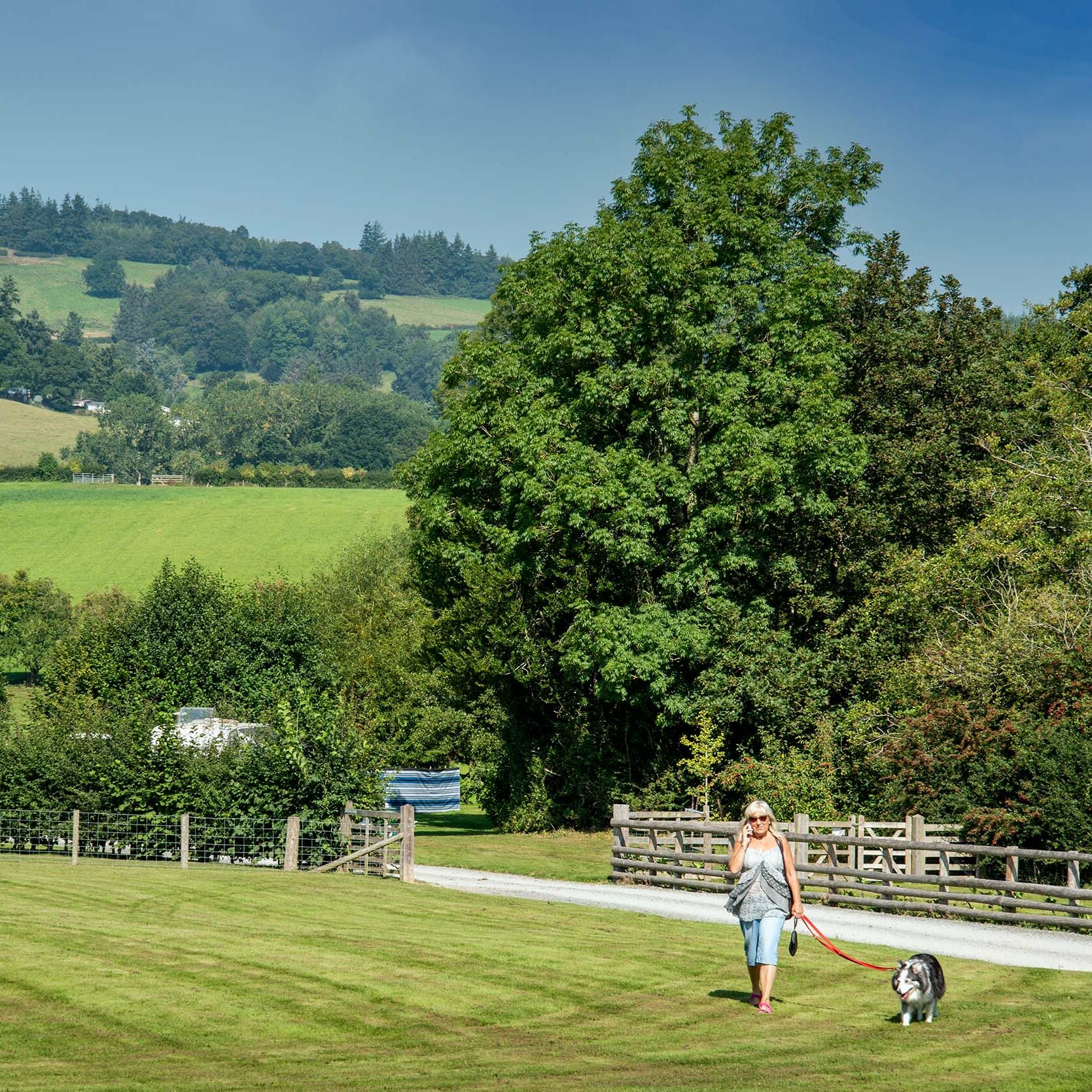 Discover-Parks-Arrow-Bank-Dog-Facilities-aspect-ratio-1-1