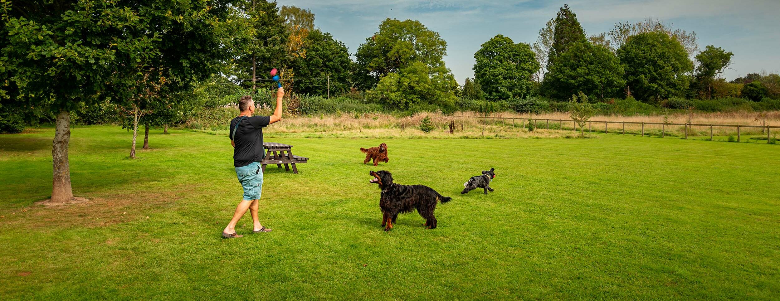 Dog Park - Discover Parks