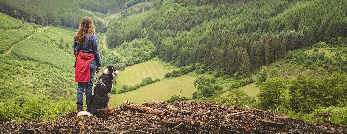 Guest Walking Dog Radnor Forest