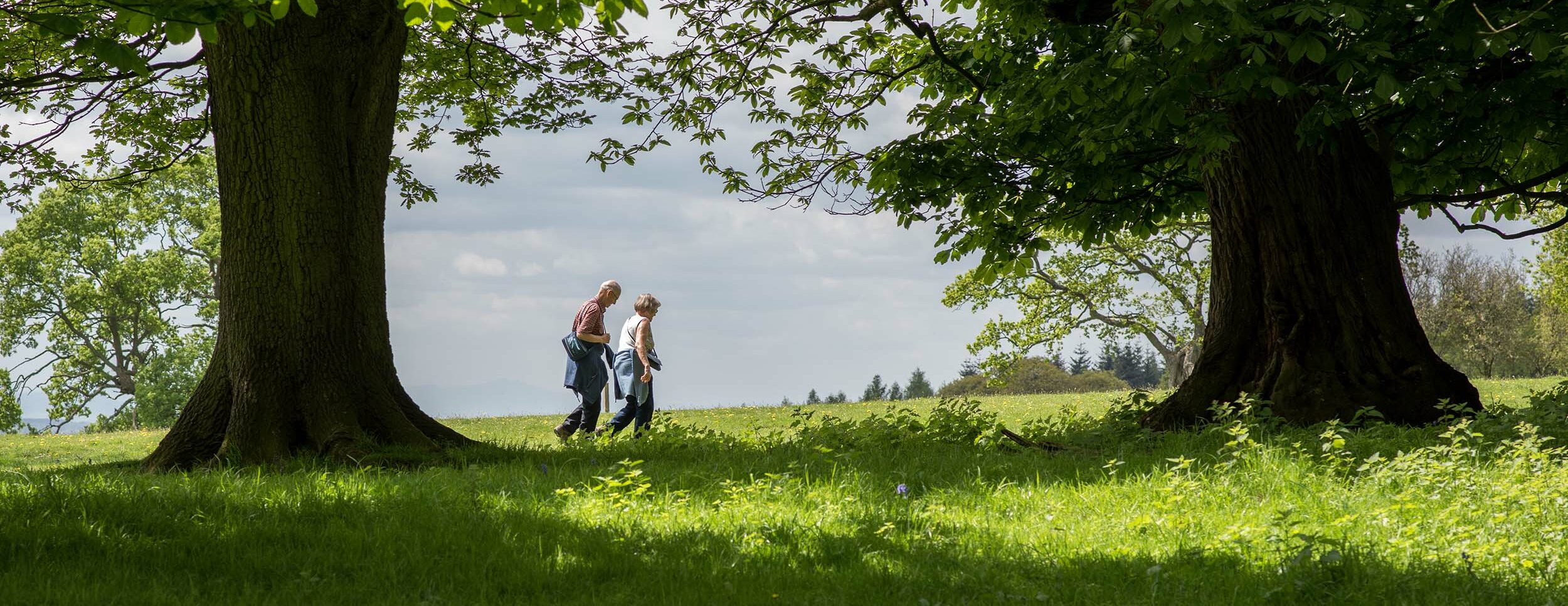 Offas dyke path access Discover Parks