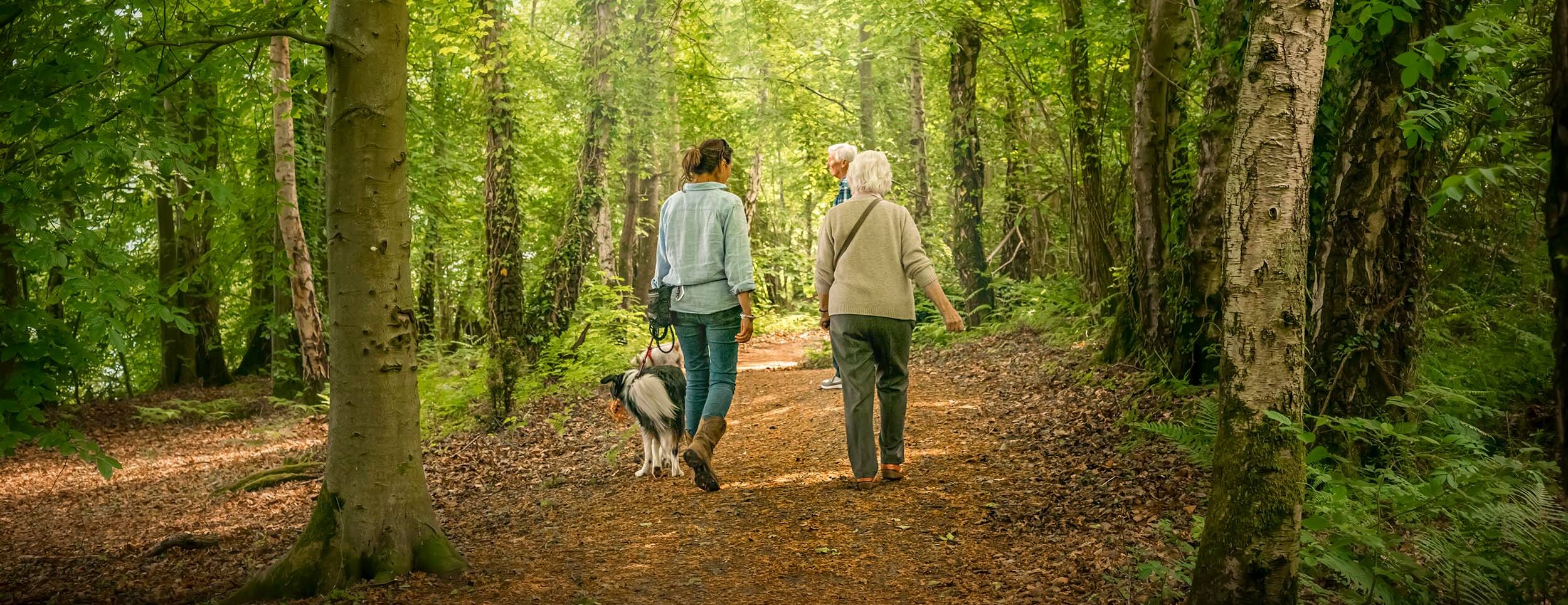 Wildlife Trails Discover Parks