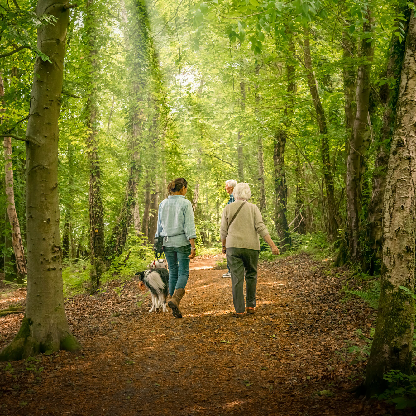 Woodland Walk Pearl Lake