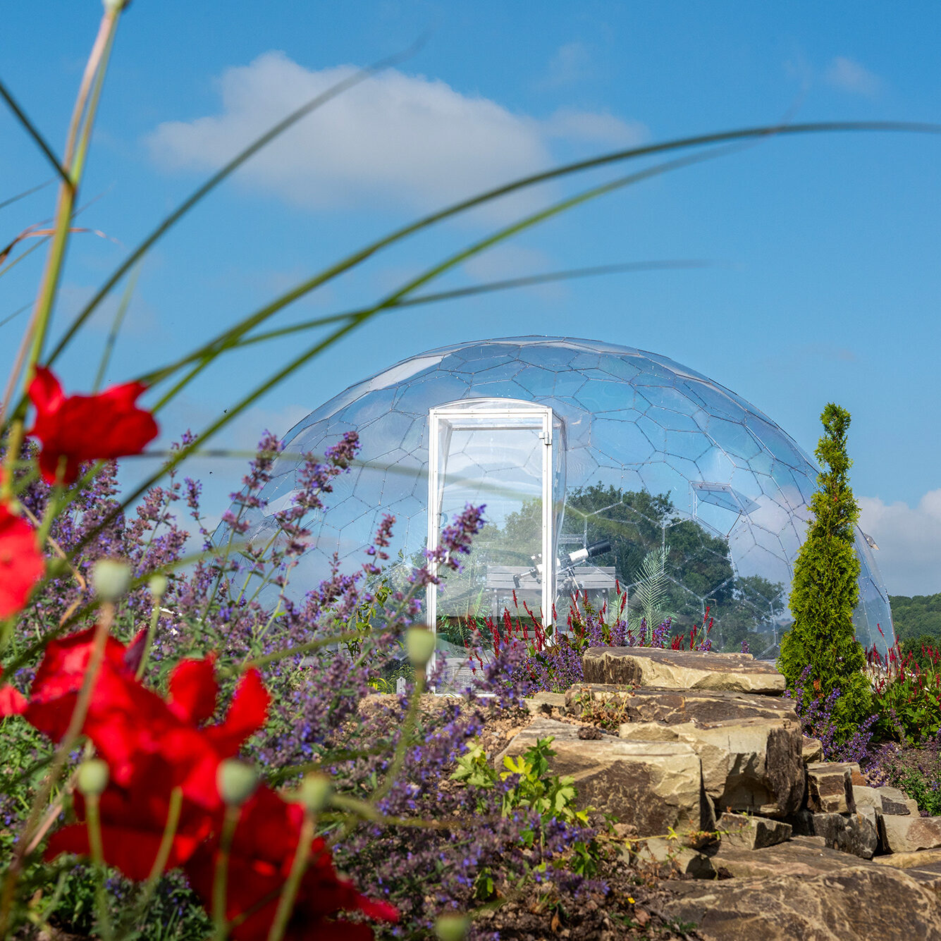 DMC1417-aspect-ratio-1-1