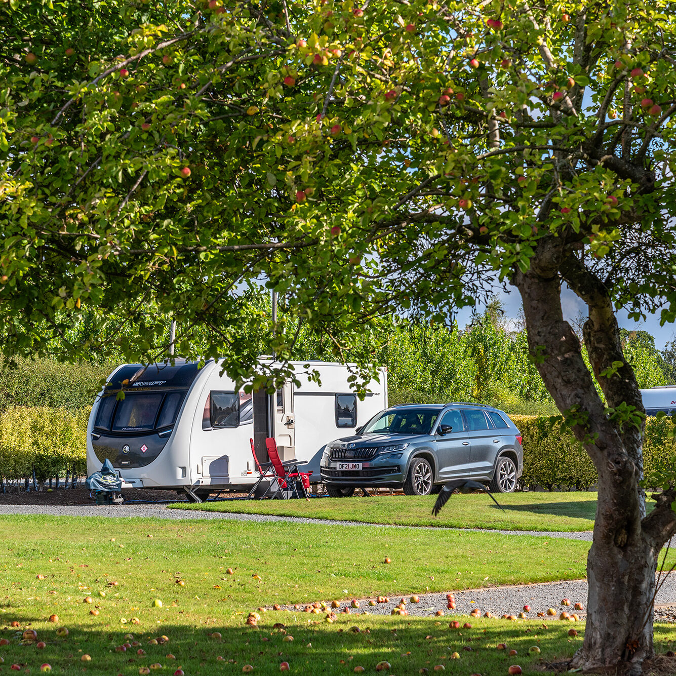 DMC1712-aspect-ratio-1-1