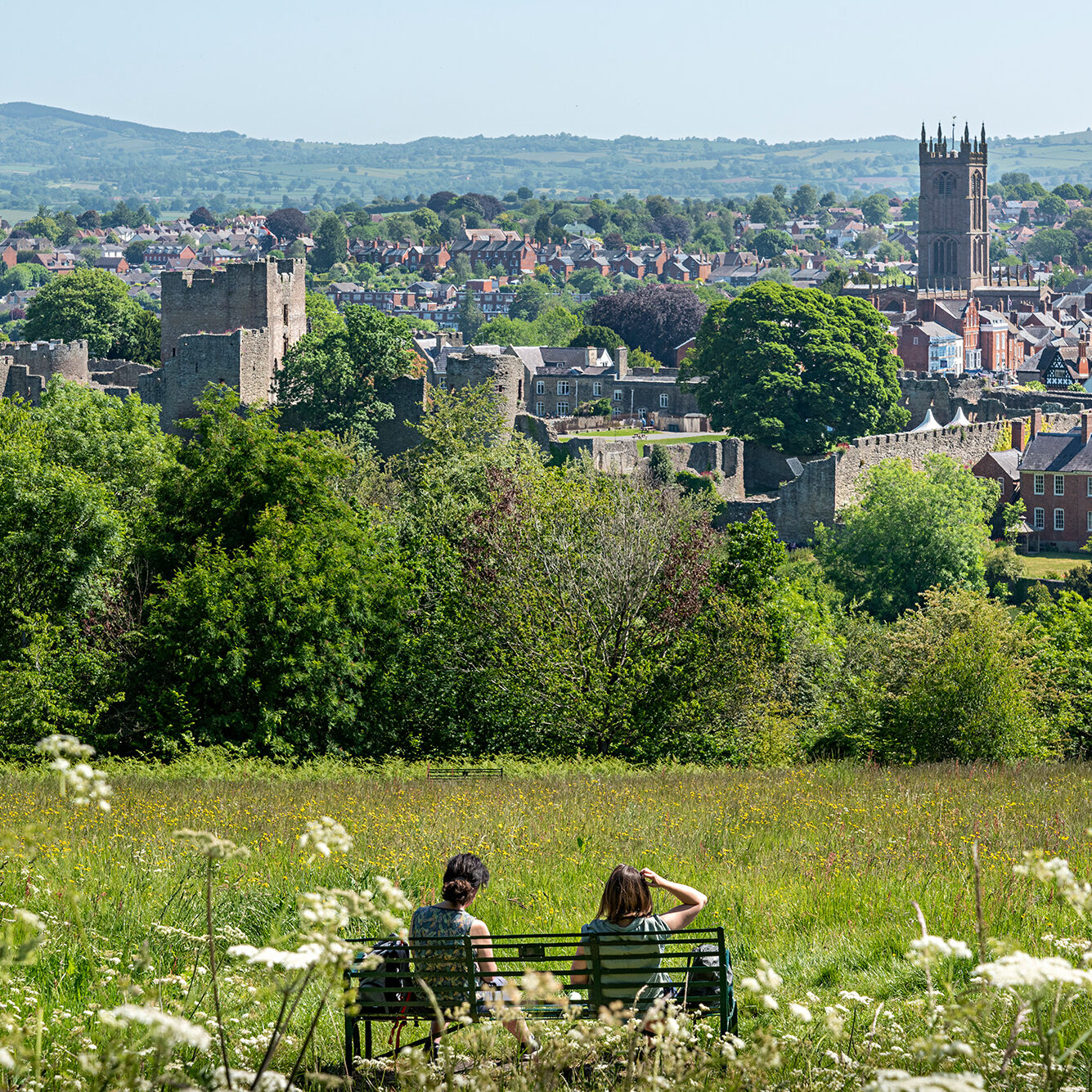 DMC3502-aspect-ratio-1-1