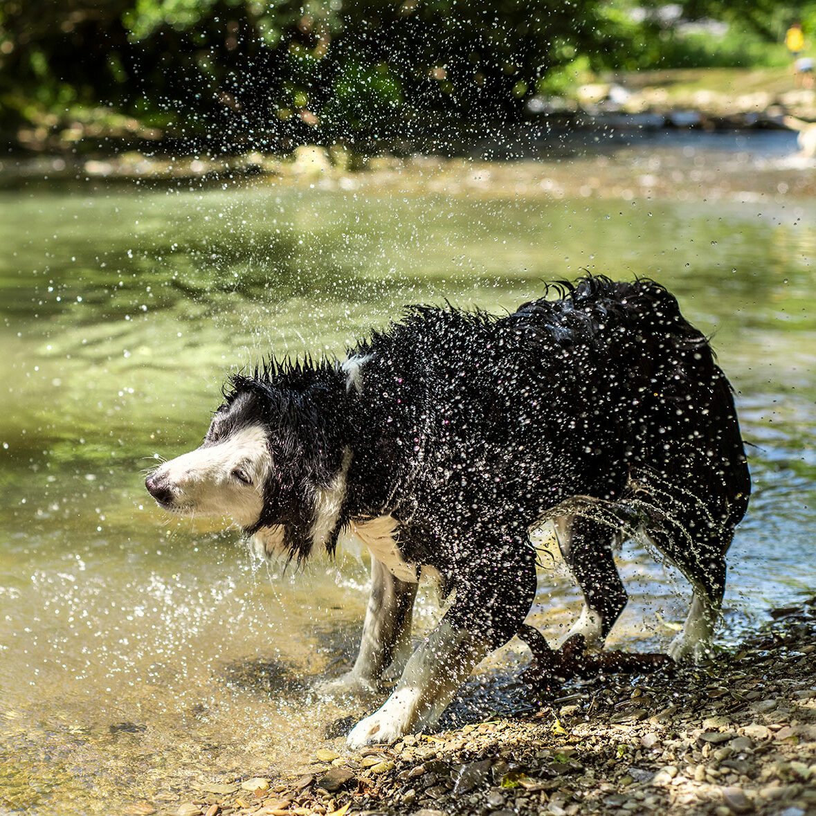 DSC1835-web-aspect-ratio-1-1