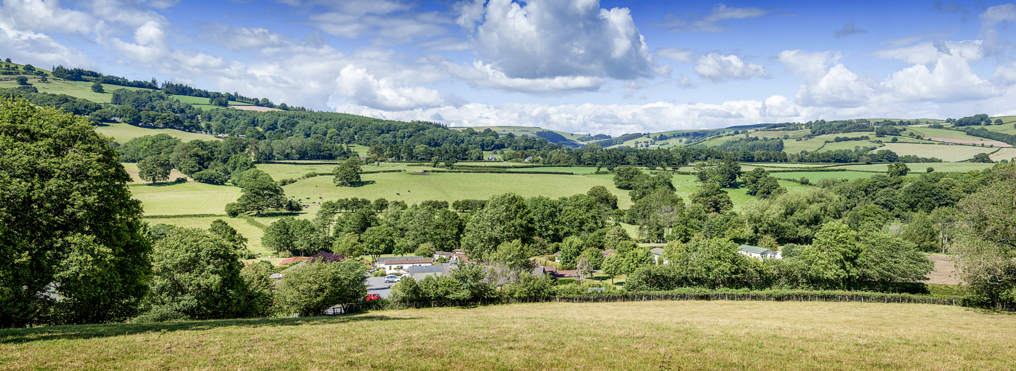 Overlooking Rockbridge park