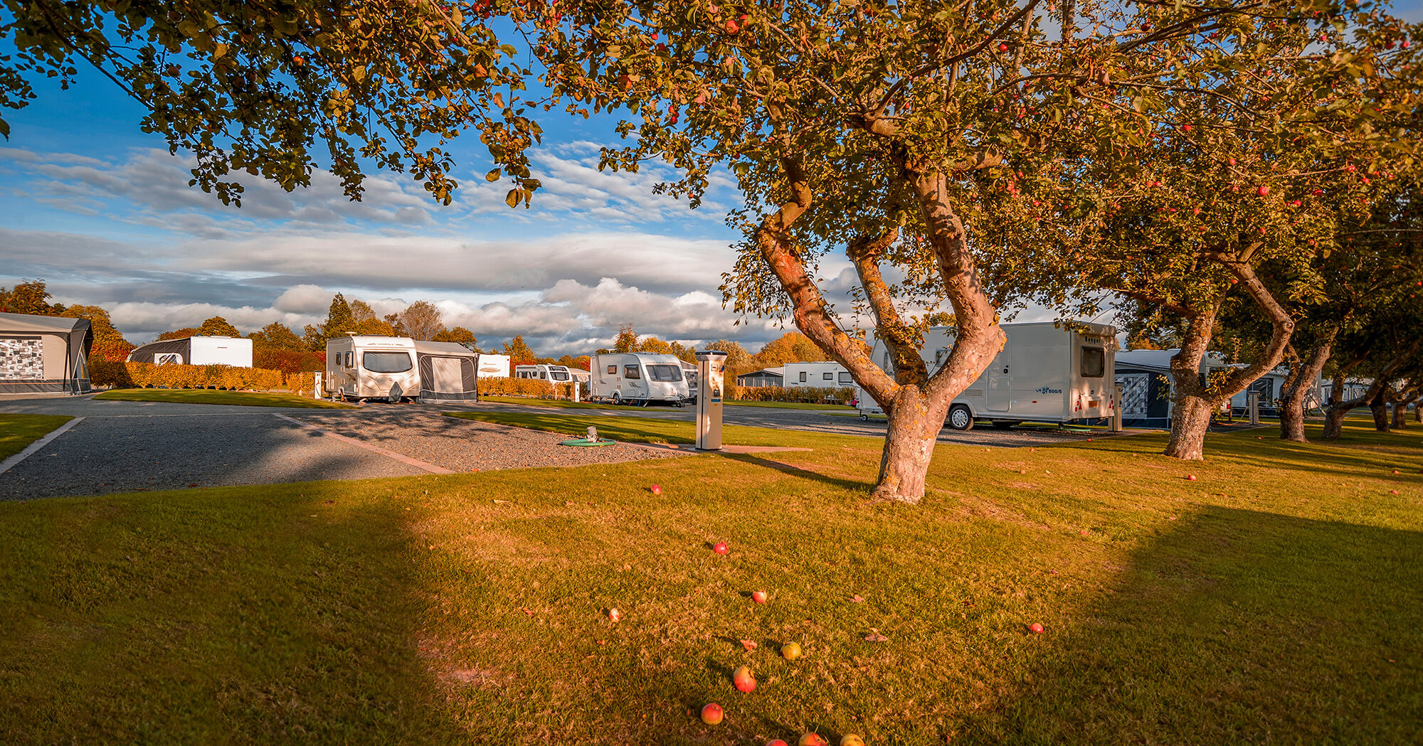 DSC7124-autumn-web-aspect-ratio-2000-1049