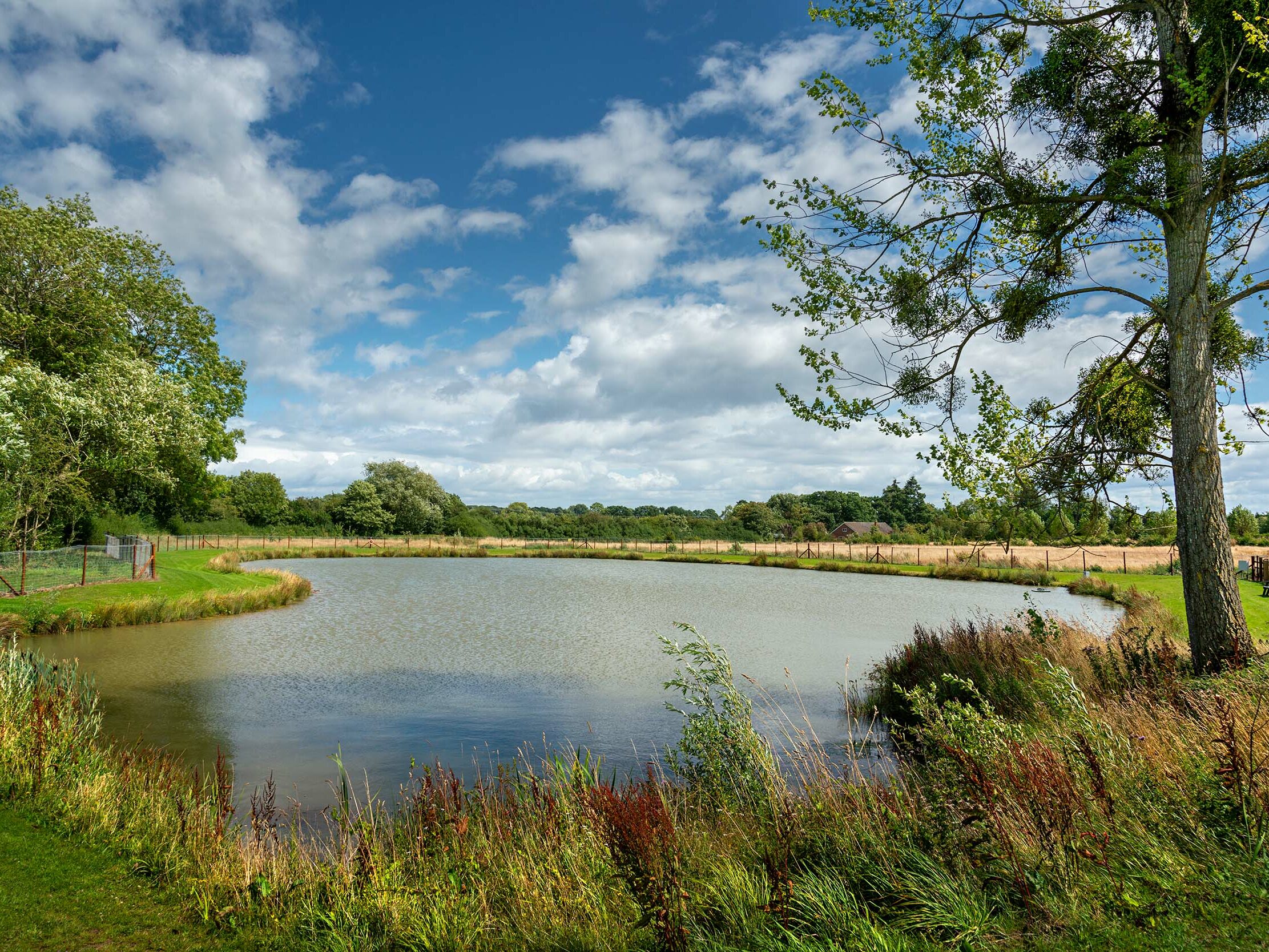 Jennifer’s Pool at Arrow Bank Holiday Park - a small, quiet carp pool flanked by trees and pegs along the shoreline