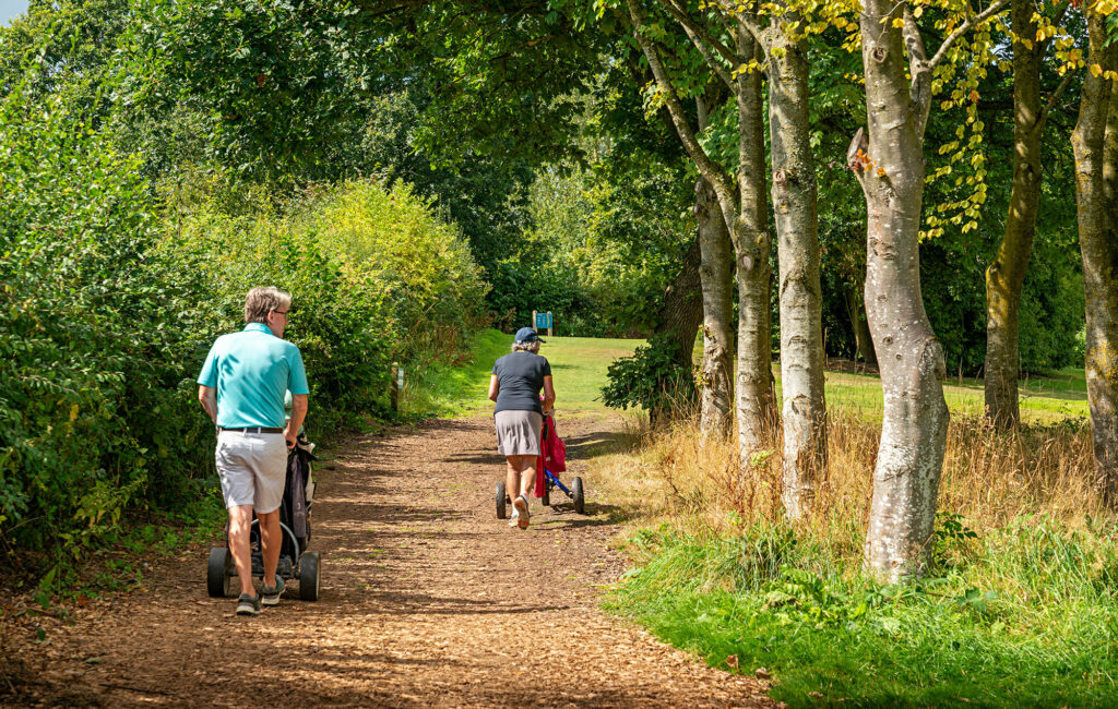 Group of people playing a round of golf together on the Pearl Lake parkland course.