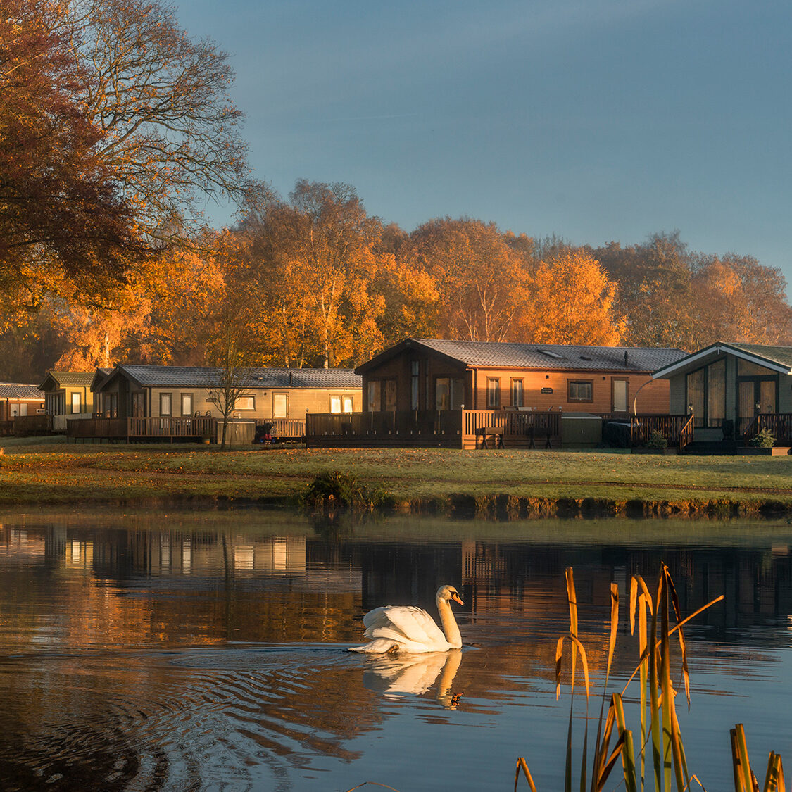 ROB6097-aspect-ratio-1-1