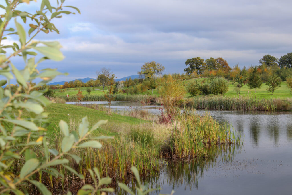 Alexander Park Resort golf course photo