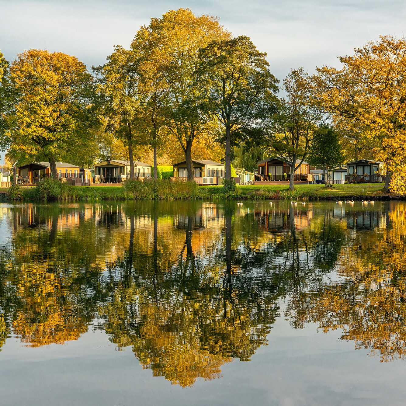 DMC2339-1-aspect-ratio-1-1