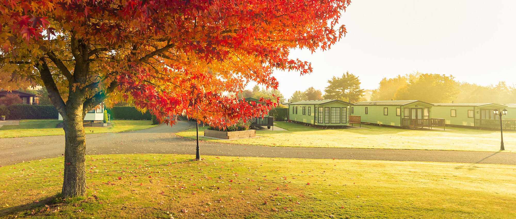 DSC7371-aspect-ratio-2000-851