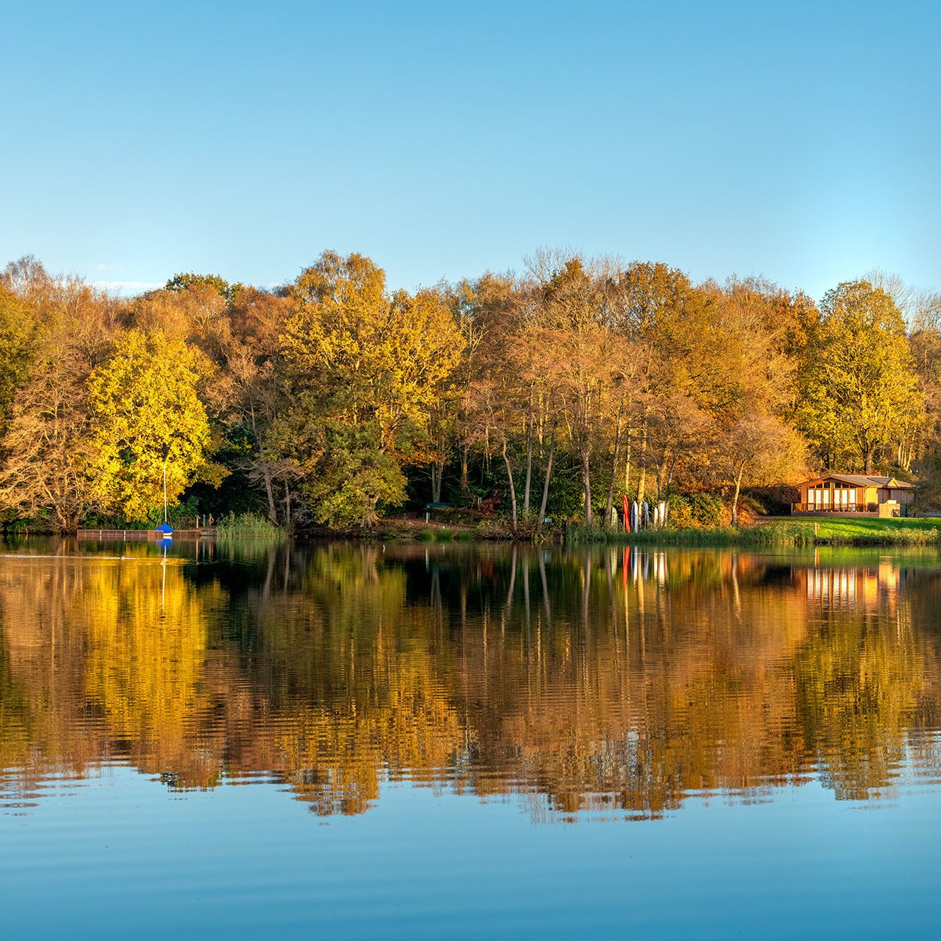 RJS2963-aspect-ratio-1-1