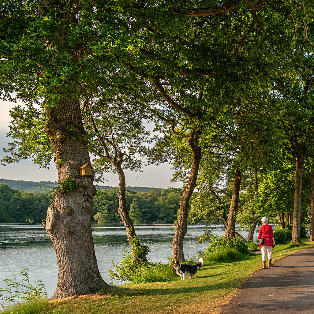 ROB8665-aspect-ratio-1-1