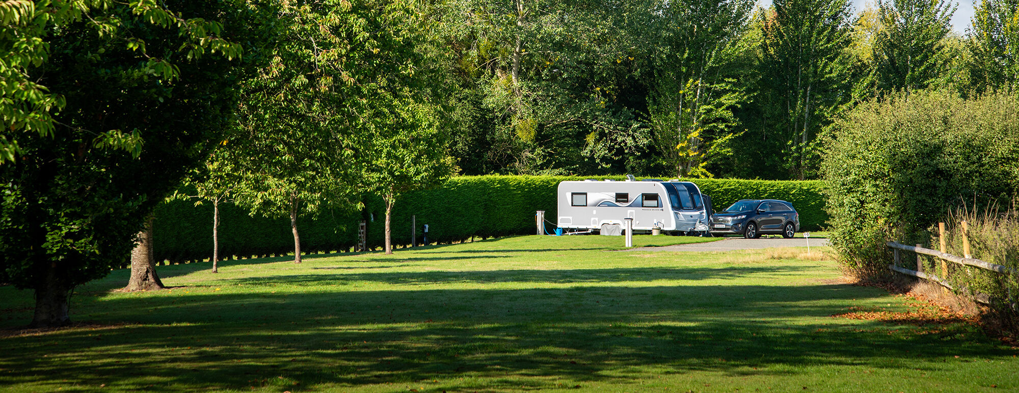 DMC1694-aspect-ratio-2000-772