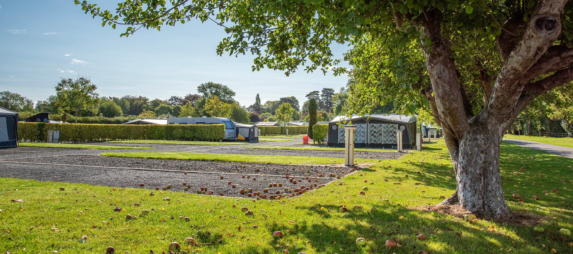 DMC1701-aspect-ratio-2000-888